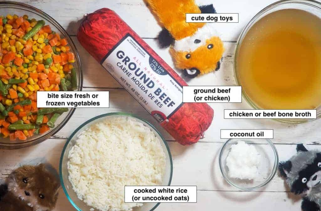 How To Make Homemade Dog Food