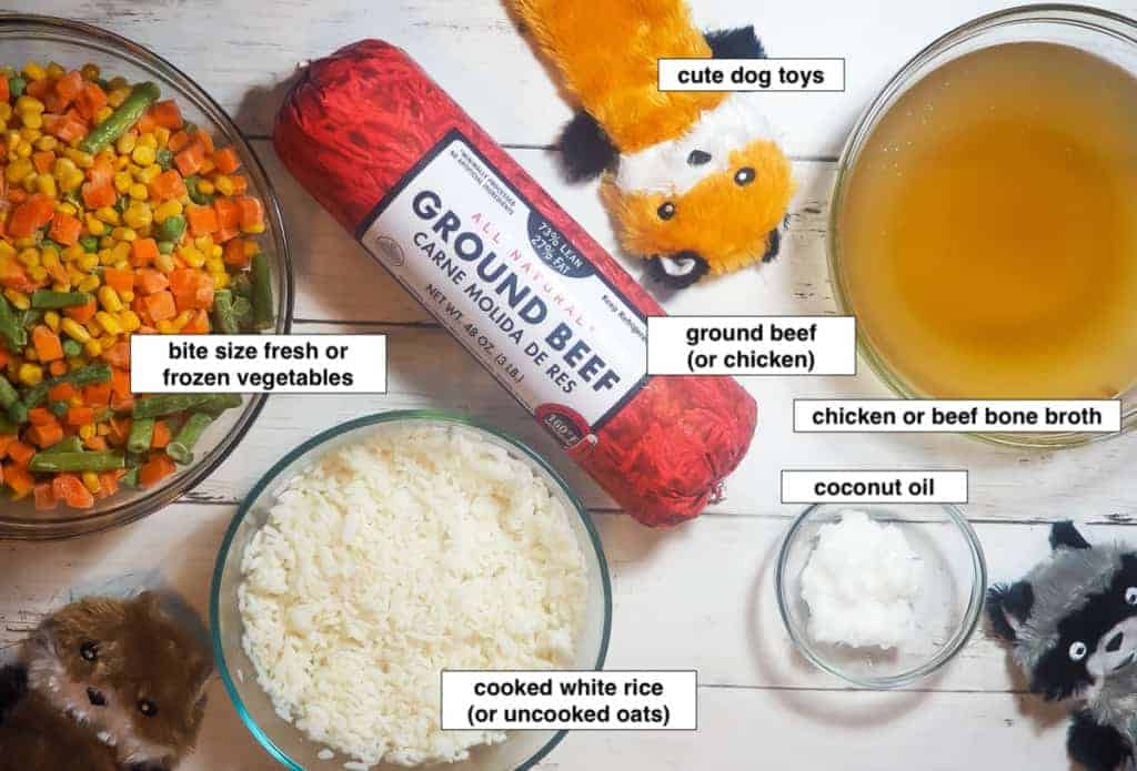 How To Make Homemade Dog Food Step by Step Guide