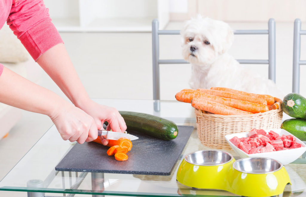Ingredients To Use In Home-Made Dog Foods